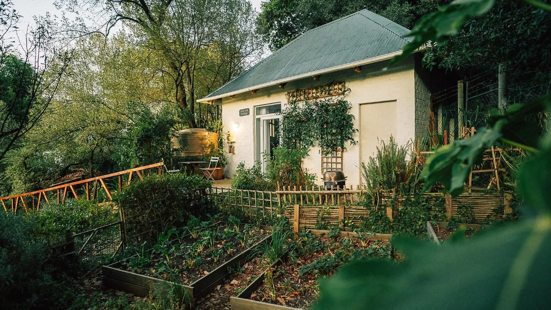Tranquil Mountain Retreat Hout Bay Cottage Città del Capo